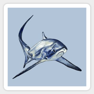 Thresher Sharks Rule Sticker